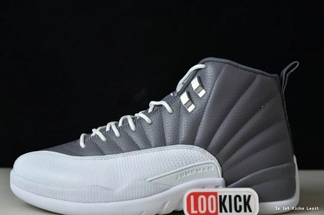 STEALTH CT8025-610 JORDAN AIR 12 0723